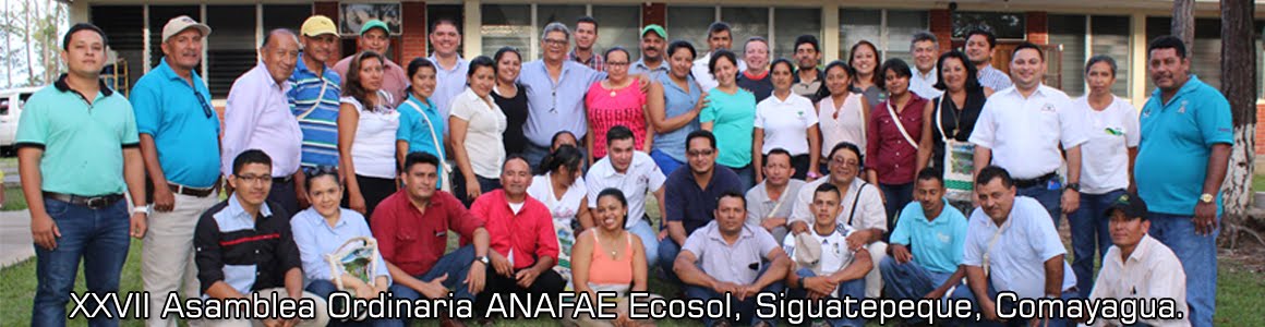 ANAFAE