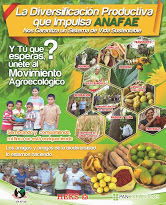 Afiche 2013