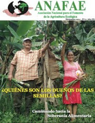 Boletín Diciembre 2011